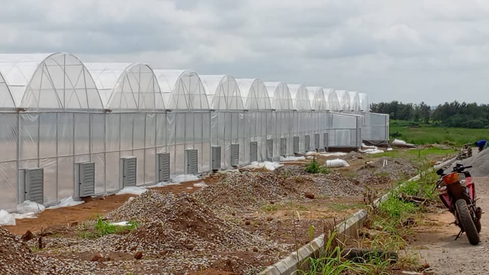 Greenhouse 4